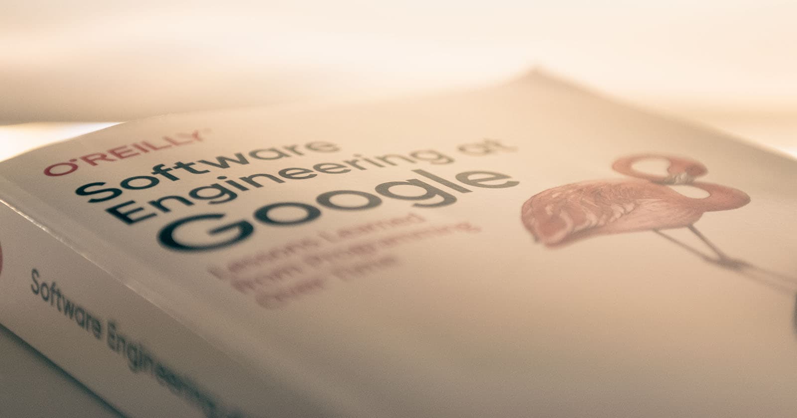 Hyrum's law in modern frontend